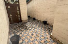 Complex Comercial Premium