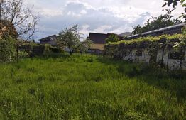 Casă spațioasă de vânzare — Calea Moldovei, zonă rezidențială