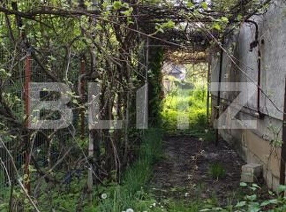 Casa de vânzare 8 camere Calea Moldovei - 195065CV | BLITZ Bistriţa | Poza16
