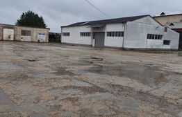 Hală de inchiriat, cu suprafața de 560 mp - Bistrița