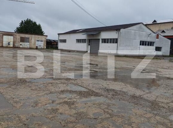 Spațiu industrial de închiriat Exterior Nord - 195087SII | BLITZ Bistriţa | Poza1