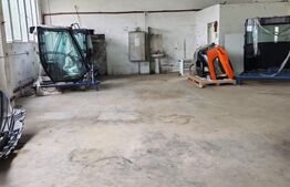 Hală de inchiriat, cu suprafața de 400 mp, Bistrita