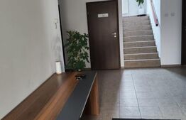 Spatiu pentru birouri de închiriat, cu o suprafață de 20 mp, Bistrita