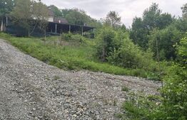 Teren intravilan de vânzare - 813 mp – Valea Jelnei 