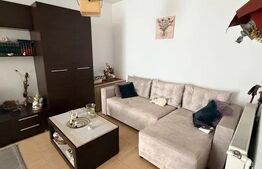 Apartament 2 camere, luminos și primitor complet mobilat și utilat ( Negociabil)
