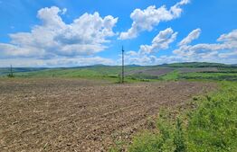 Teren Agricol, 5.800 mp, in Blajenii de Jos 