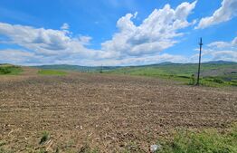 Teren Agricol, 5.800 mp, in Blajenii de Jos 