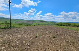 Teren Agricol, 5.800 mp, in Blajenii de Jos 