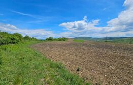 Teren Agricol, 5.800 mp, in Blajenii de Jos 