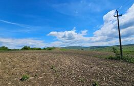 Teren Agricol, 5.800 mp, in Blajenii de Jos 