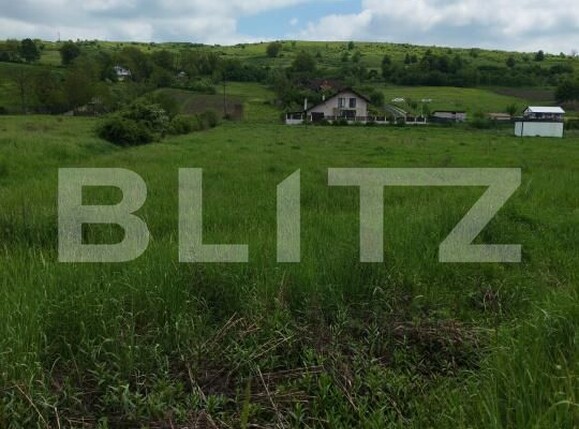 Teren de vânzare Exterior Sud - 195557TV | BLITZ Bistriţa | Poza1
