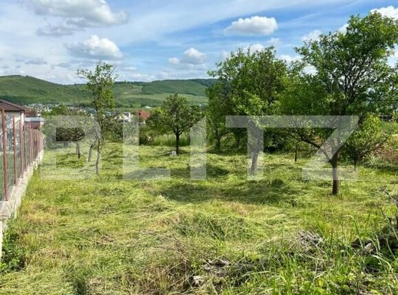 Teren de vânzare Exterior Sud - 195700TV | BLITZ Bistriţa | Poza1