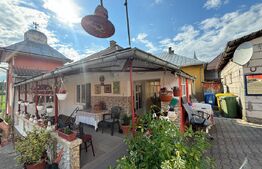 Casă individuală de vânzare, 200 mp, zona Tarpiu 