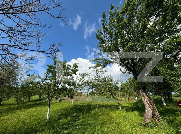 Casa de vânzare 6 camere Vest - 195834CV | BLITZ Bistriţa | Poza24