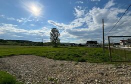 Teren intravilan 22 ari, ideal pentru locuinta/investitie in Tarpiu