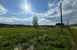 Teren intravilan 22 ari, ideal pentru locuinta/investitie in Tarpiu