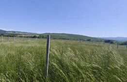 Teren intravilan de vânzare, 2650 mp, zona Valea Jelnei 