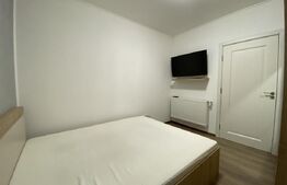 Apartame o camera, etaj 3, 30 mp, complet mobilat, zona Decebal