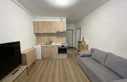 Apartame o camera, etaj 3, 30 mp, complet mobilat, zona Decebal