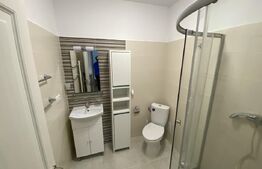 Apartame o camera, etaj 3, 30 mp, complet mobilat, zona Decebal
