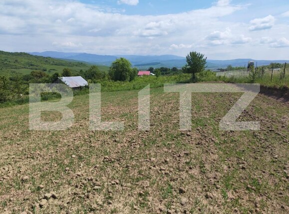 Teren de vânzare Nord-Est - 196202TV | BLITZ Bistriţa | Poza1