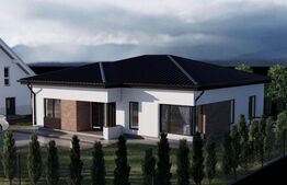 Casa 100 mp, 16 ari teren, comuna Livezile