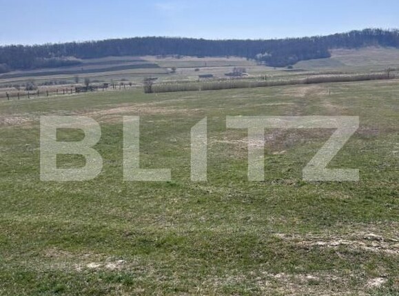Teren de vânzare Exterior Nord - 196264TV | BLITZ Bistriţa | Poza1
