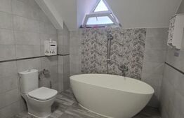 Apartament la casă, 115 mp, zona Casa Someseana