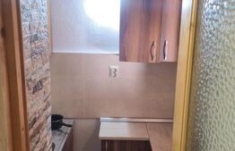 Apartament la mansarda, 1 camera, 25 mp - Piata Morii