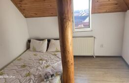 Apartament la mansarda, 1 camera, 25 mp - Piata Morii