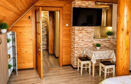 Garsonieră de vânzare Independenței - 110277AV | BLITZ Bistriţa | Poza5
