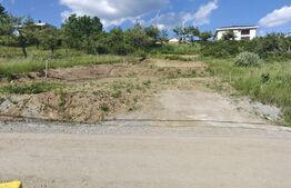 Teren Intravilan de vânzare, 818 mp – Valea Rusului
