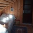Casa de vânzare 6 camere Vest - 196417CV - Poza 1 din 21 | BLITZ Bistriţa | Poza17