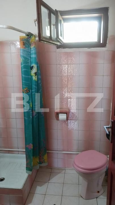 Casa de vânzare 6 camere Vest - 196417CV | BLITZ Bistriţa | Poza12