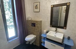 Cabana premium de vanzare Colibita, pe malul lacului
