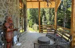 Cabana premium de vanzare Colibita, pe malul lacului