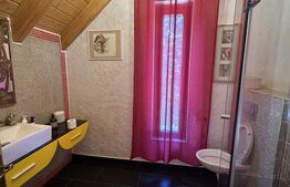Cabana premium de vanzare Colibita, pe malul lacului