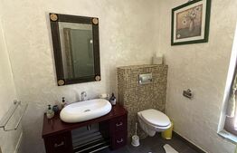 Cabana premium de vanzare Colibita, pe malul lacului