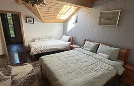 Cabana premium de vanzare Colibita, pe malul lacului