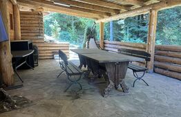 Cabana premium de vanzare Colibita, pe malul lacului