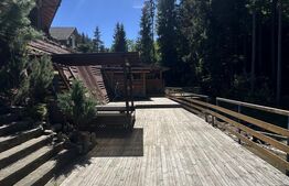 Cabana premium de vanzare Colibita, pe malul lacului