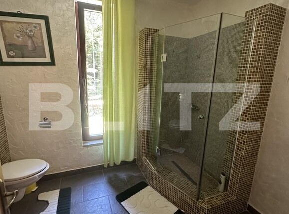 Casa de vânzare 6 camere Nord-Est - 196516CV | BLITZ Bistriţa | Poza20