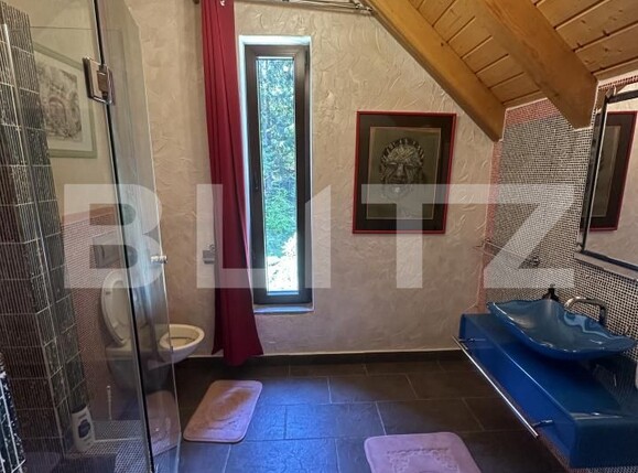 Casa de vânzare 6 camere Nord-Est - 196516CV | BLITZ Bistriţa | Poza12