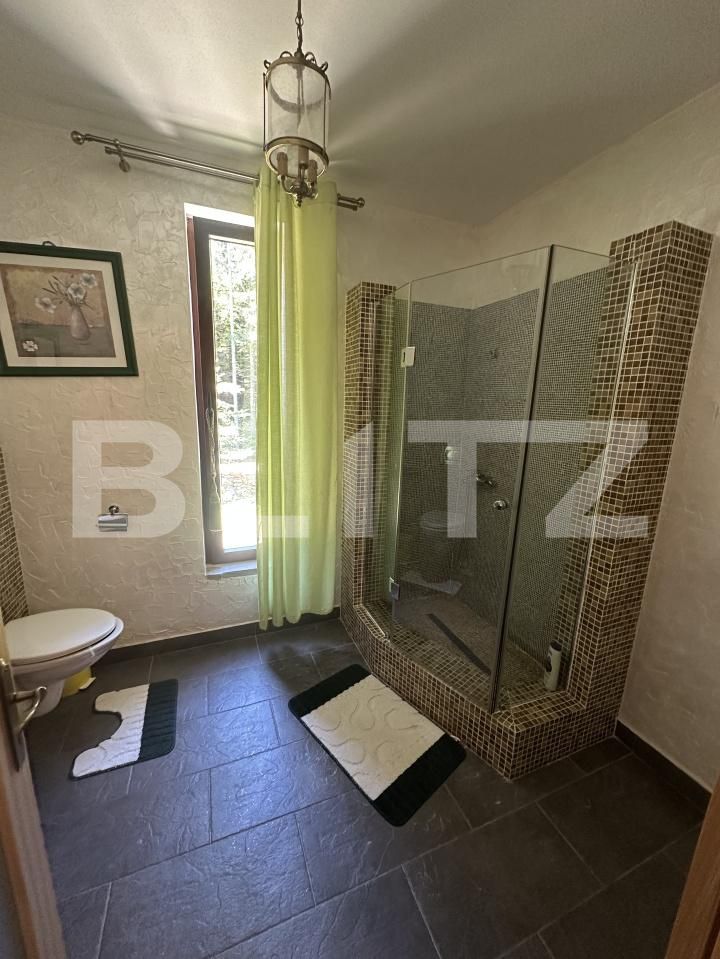 Casa de vânzare 6 camere Nord-Est - 196516CV | BLITZ Bistriţa | Poza20