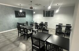 Spațiu Comercial Premium de Închiriat – Locație Exclusivistă, Pregatit Horeca