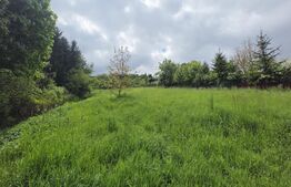 Teren intravilan de vânzare, 2293 mp | Valea Jelnei