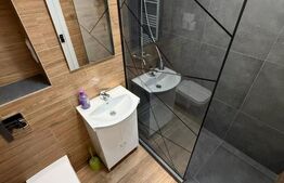 Apartament 2 camere, Avram Iancu Complet RENOVAT