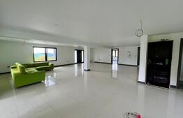 Casă stil mediteranean, 162 mp, teren 2600 mp, zona Silivașu de Câmpie