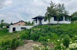 Casă stil mediteranean, 162 mp, teren 2600 mp, zona Silivașu de Câmpie