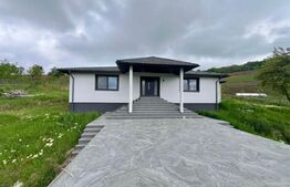 Casa de vânzare 3 camere Sud-Est - 175893CV | BLITZ Bistriţa | Poza3